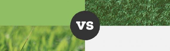 Artificial Turf vs. Natural Grass