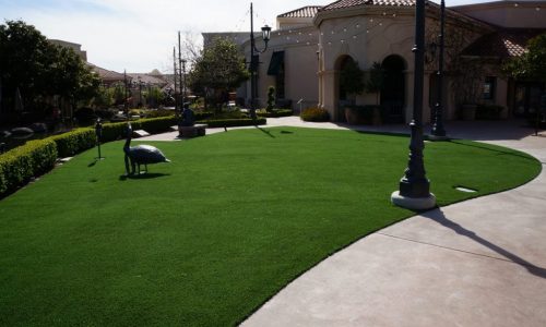 Commercial Artificial Grass Contractor, Synthetic Turf Installation for Commercial Projects Las Vegas NV