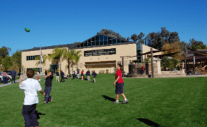 Artificial Turf For Athletes Las Vegas